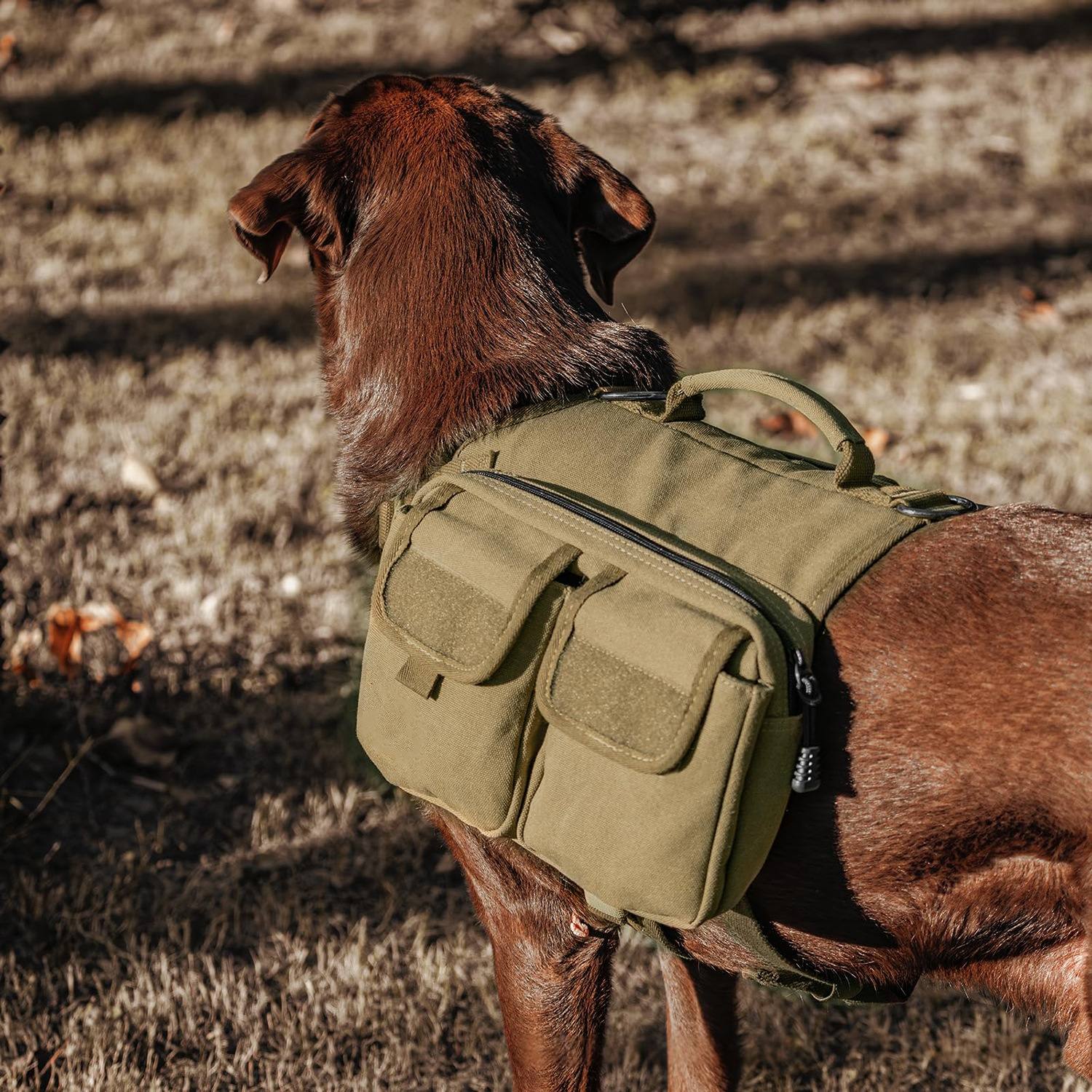 Dog Hiking Backpack Saddle Bag