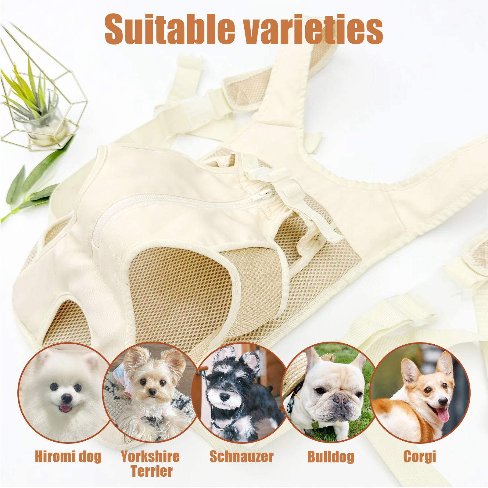 Front Chest Carrier For Small Pets