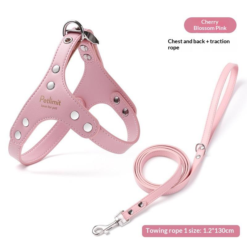 Puppy Leather Chest Harness And Lead