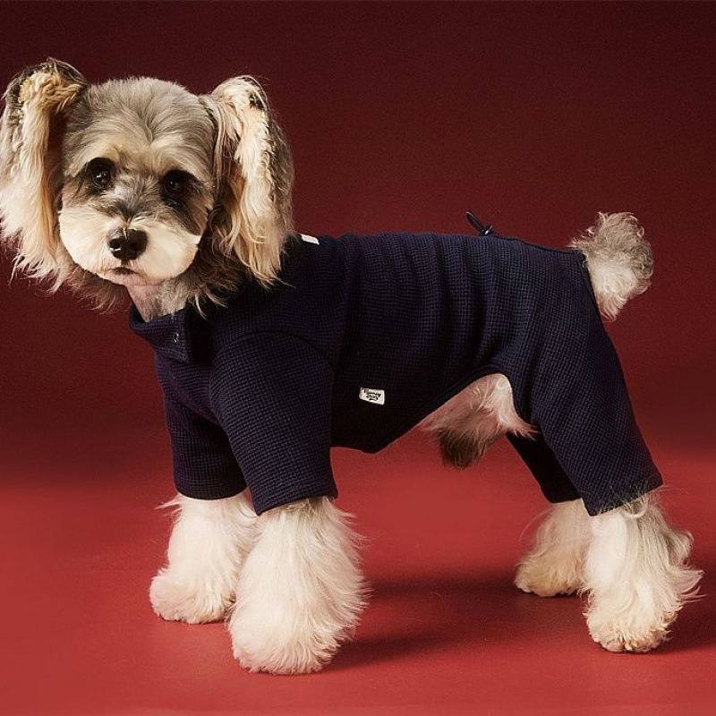 Small Dog Four-Leg Base Layer