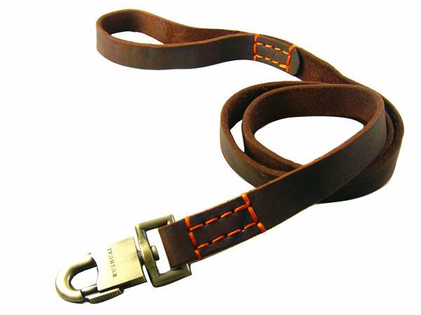 Wide Heavy-Duty Nylon Dog Lead