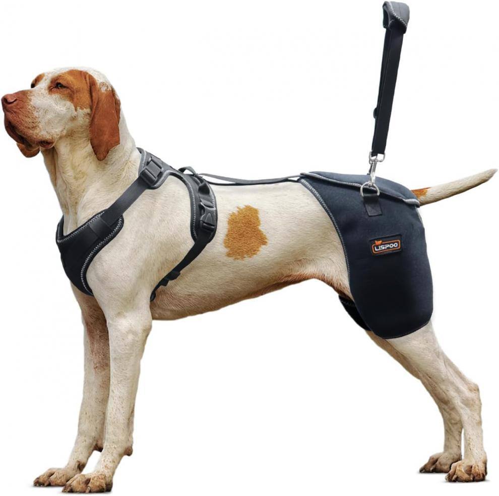 Dog Hip & Knee Support Brace Harness