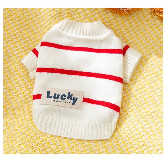 Knitted Pet Jumper For Autumn