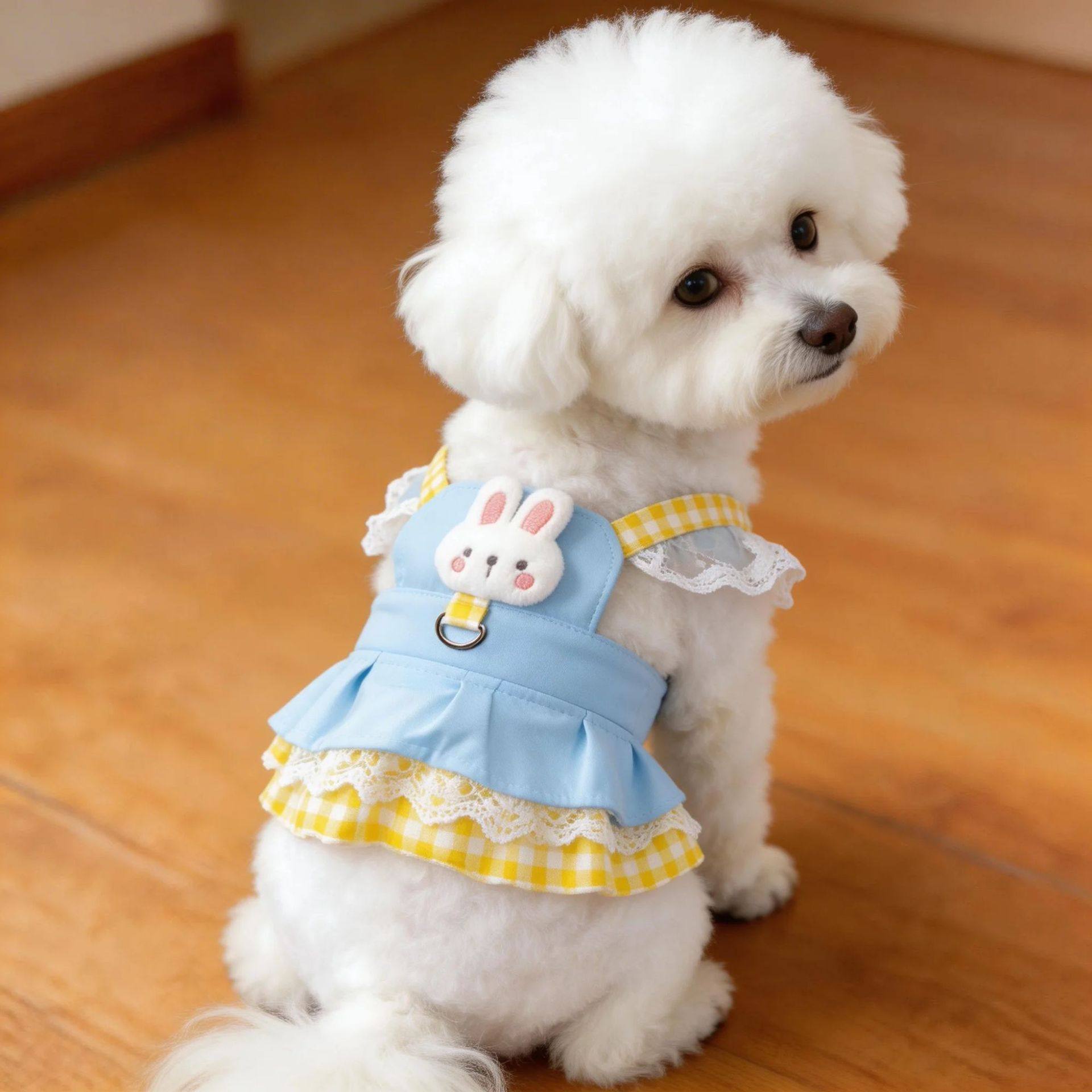 Floral Dog Dress With Lead Attachment