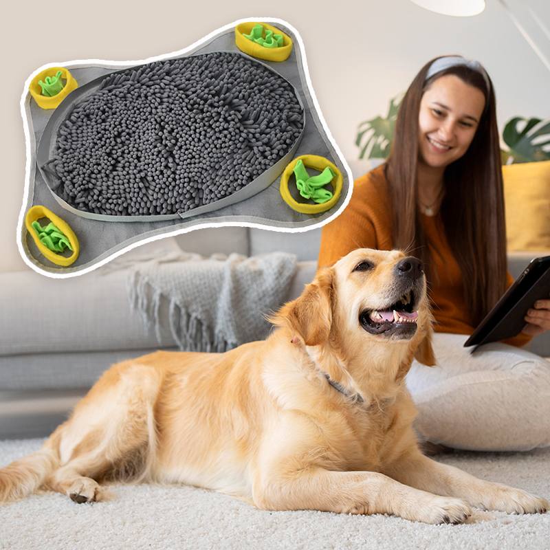 Anti-Choke Snuffle Feeding Mat