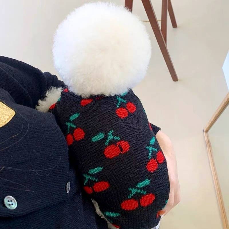 Knitted Dog Jumper For Small Breeds