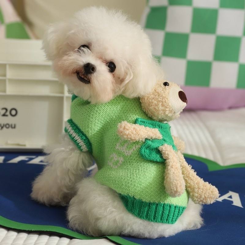 Bichon Frise Knitted Dog Jumper