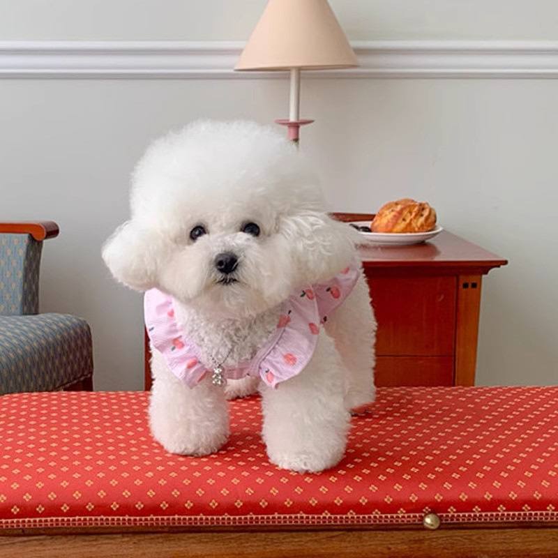 Thin Spring Summer Dog Vest