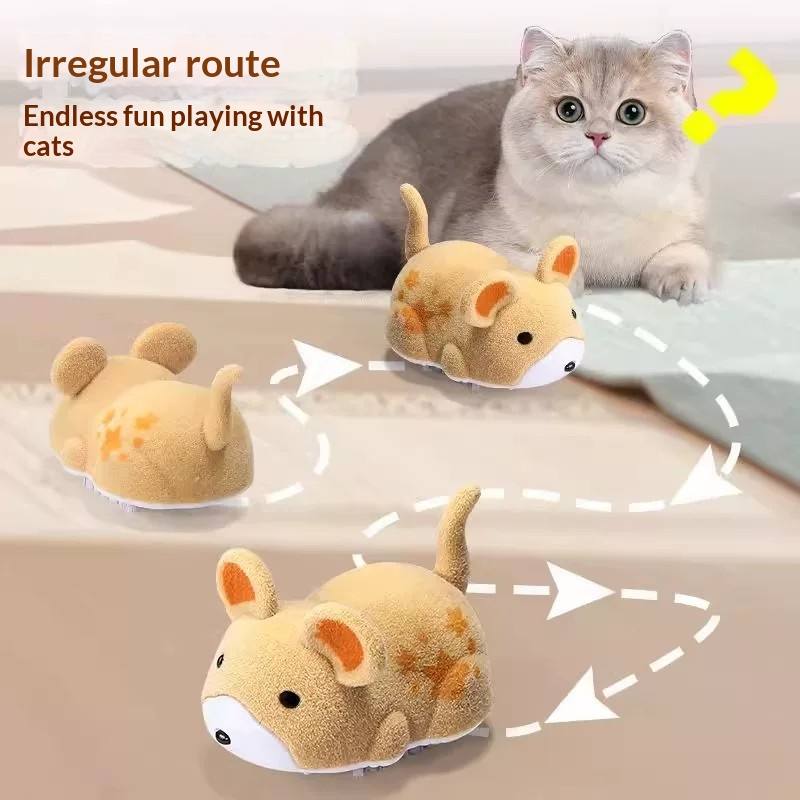 Cat Toy