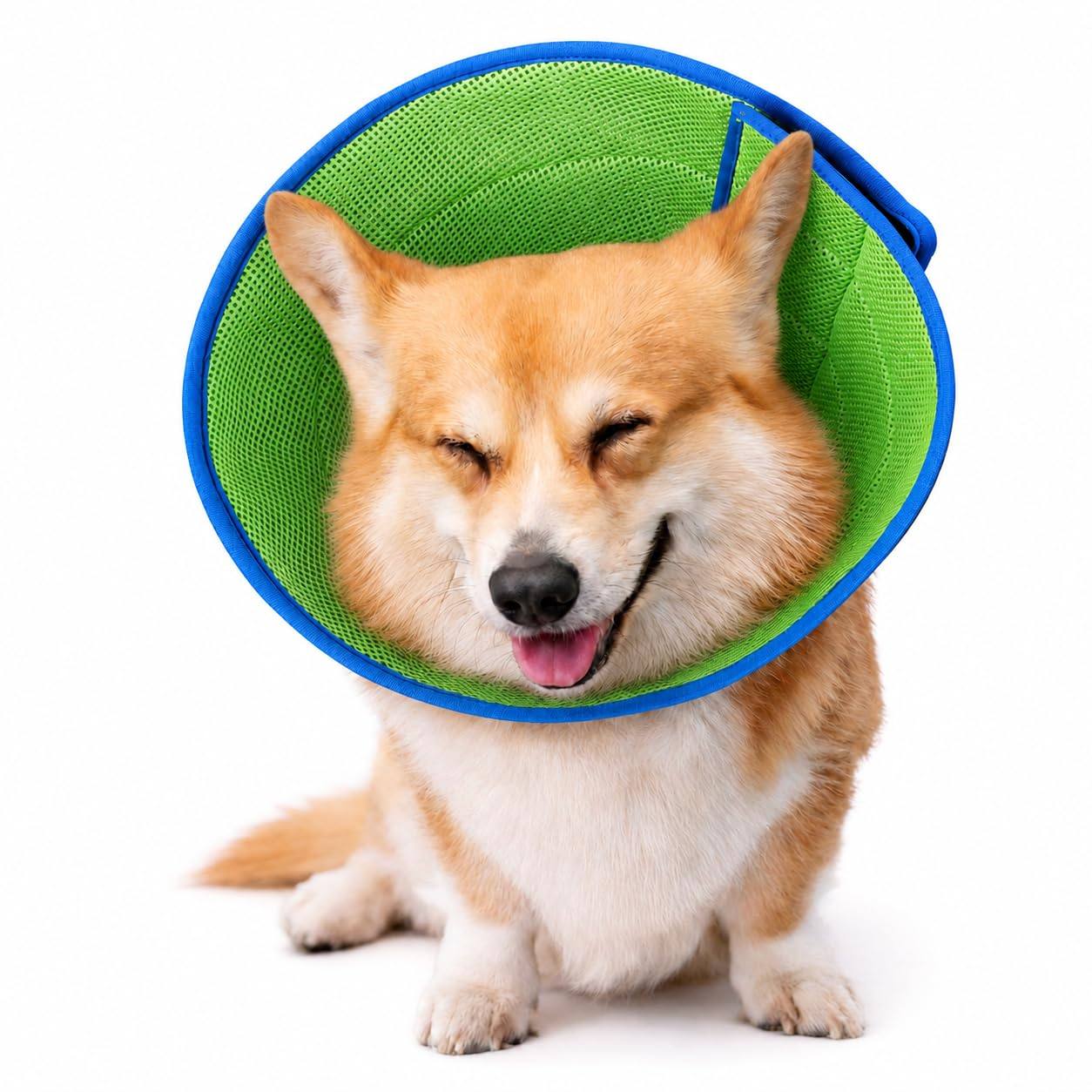 Soft Recovery Cone Collar
