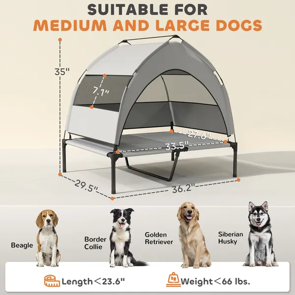 Elevated Dog Bed With Canopy