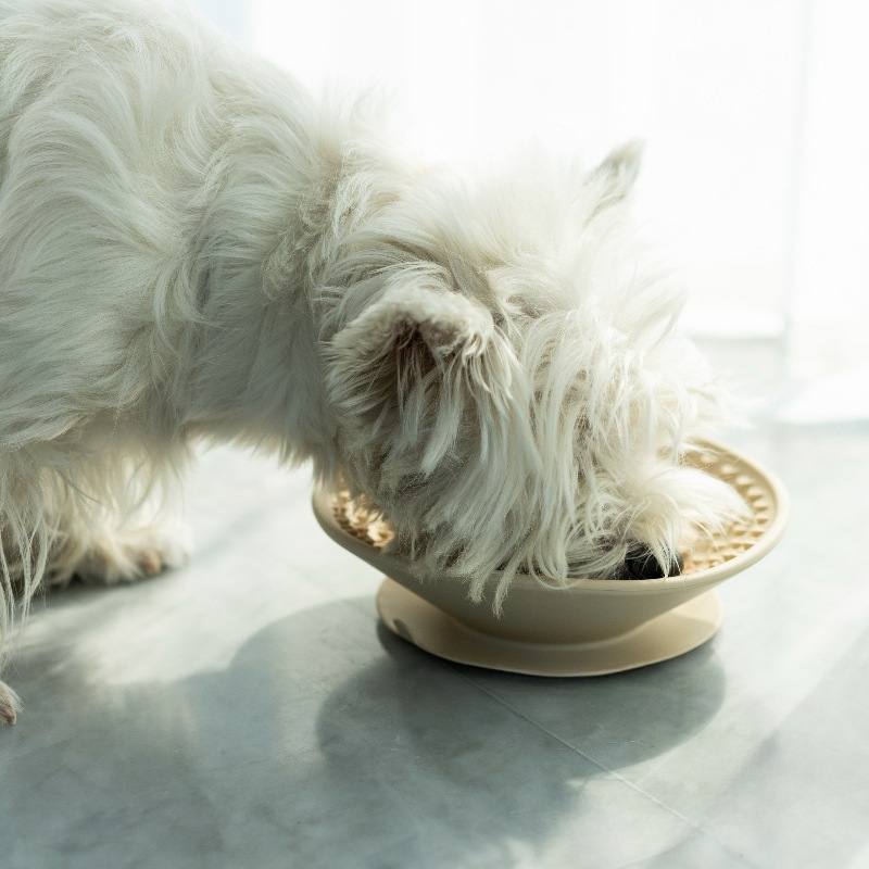 Silicone Slow Feeder Lick Mat