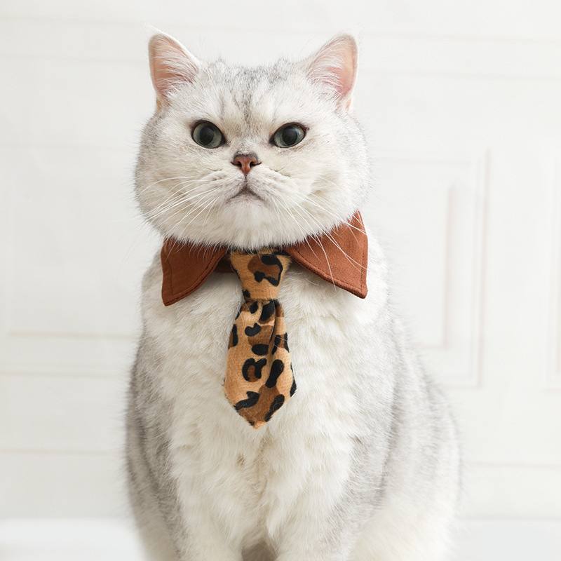 Cat Bow-Tie Collar