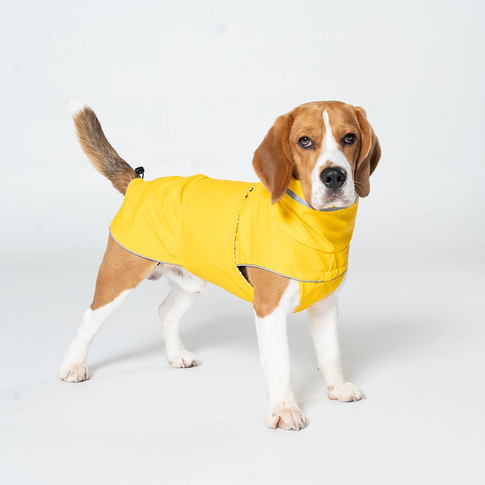 High-Neck Waterproof Dog Raincoat