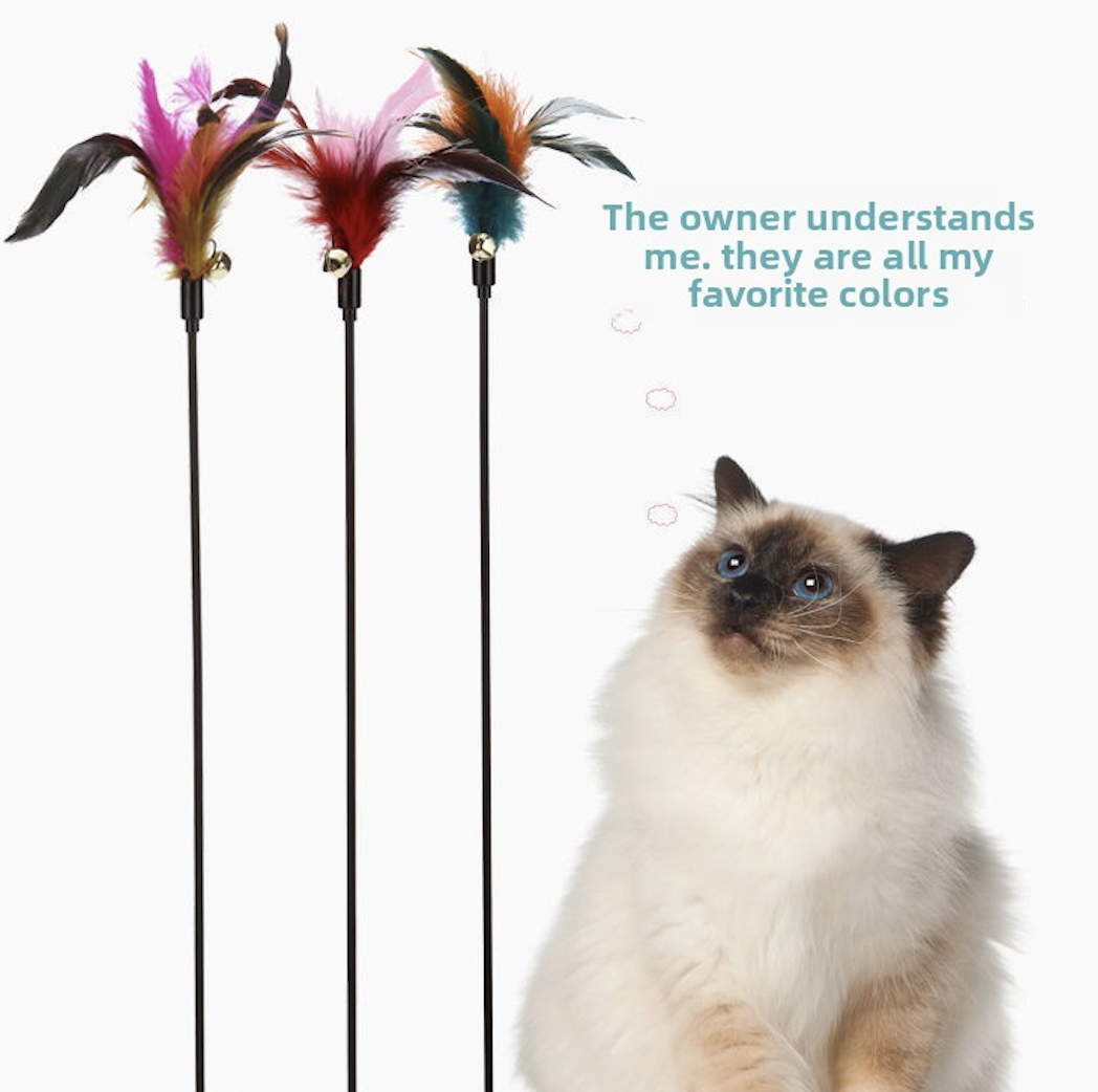 Colourful Feather Cat Teaser Wand