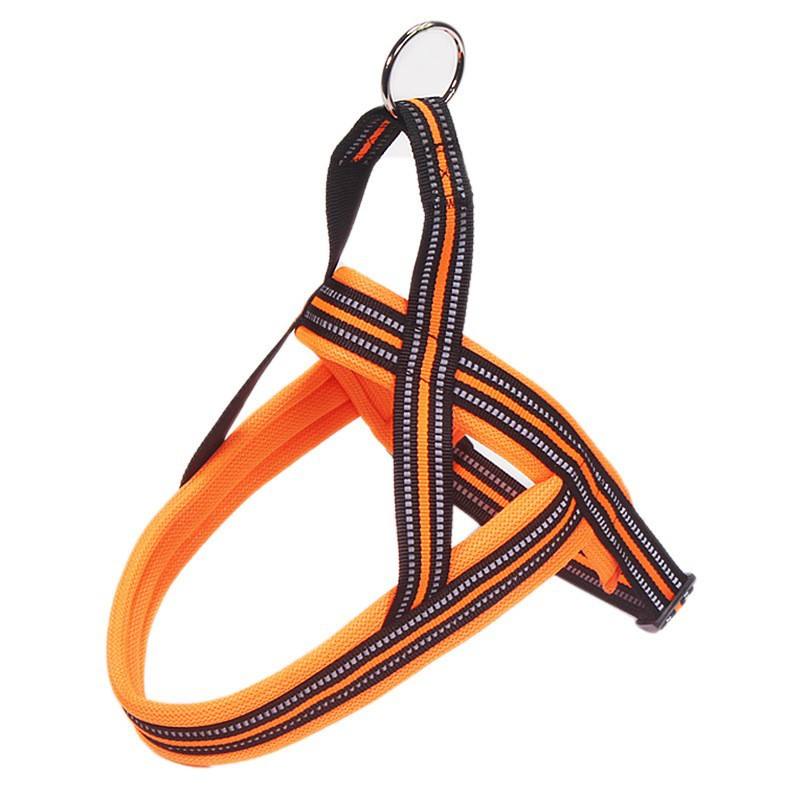 No-Pull Dog Harness Vest With Lead
