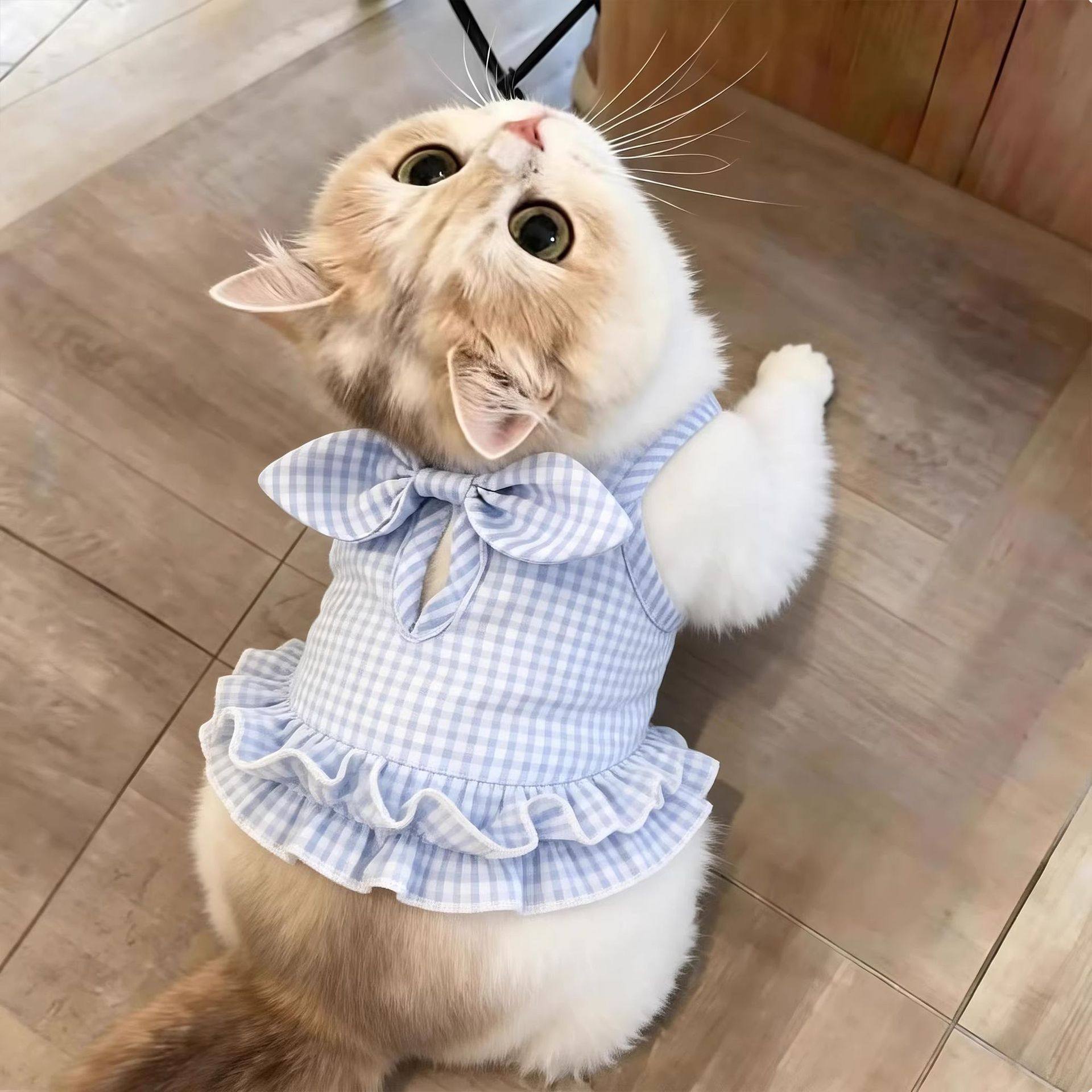 Lightweight Summer Cat Dress