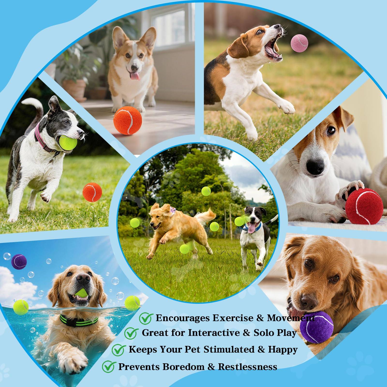 Colourful Tennis Balls For Dogs