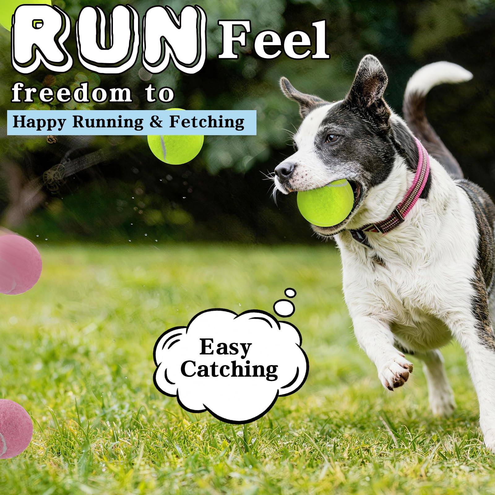 Colourful Tennis Balls For Dogs