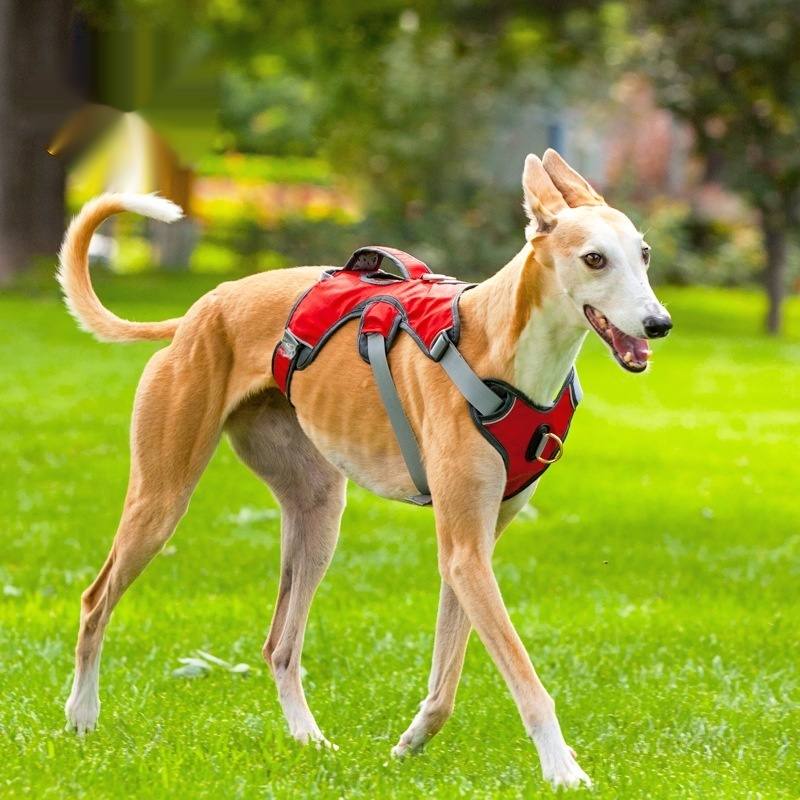 Outdoor Vest Dog Harness