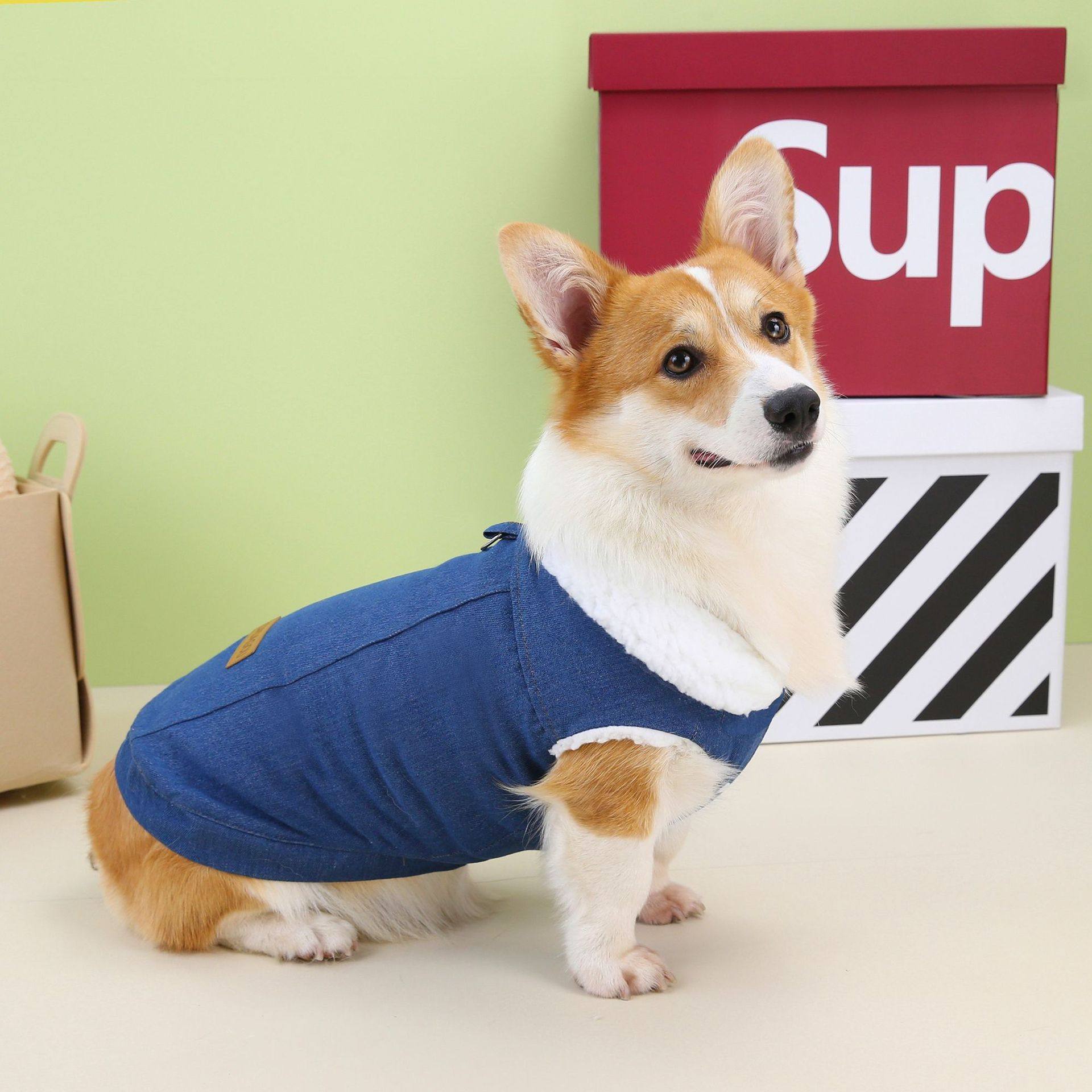Denim Cotton Dog Coat
