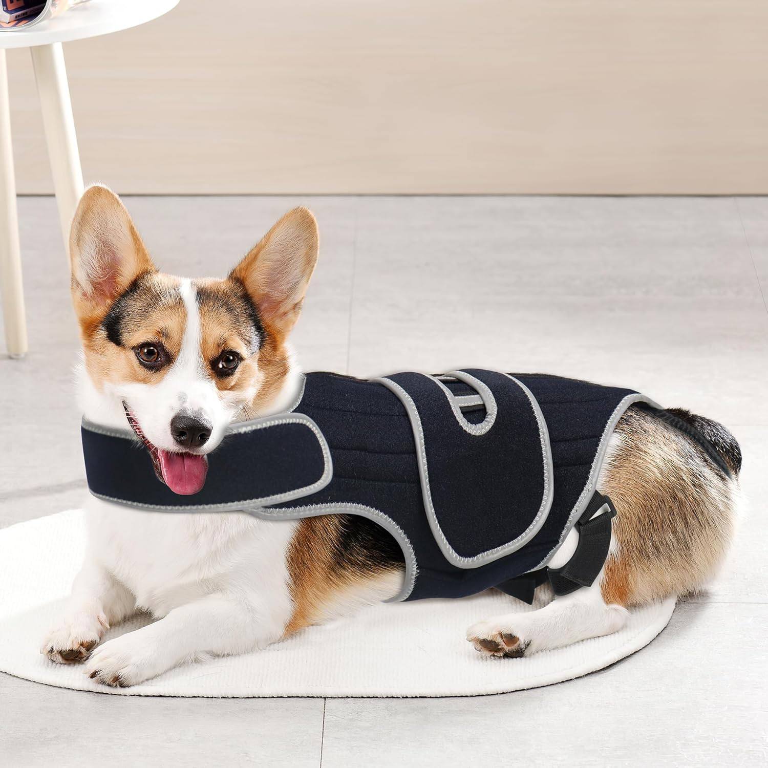 Dog Back Support Lifting Sling