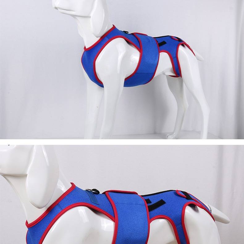 Dog Spine Support Posture Jacket