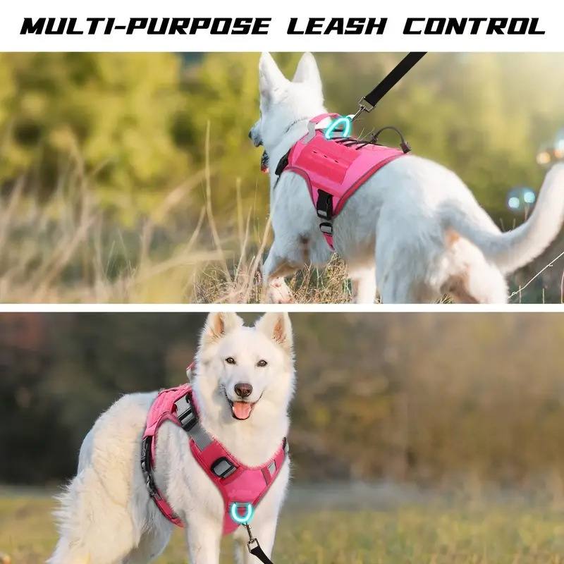 Adjustable Nylon Dog Harness