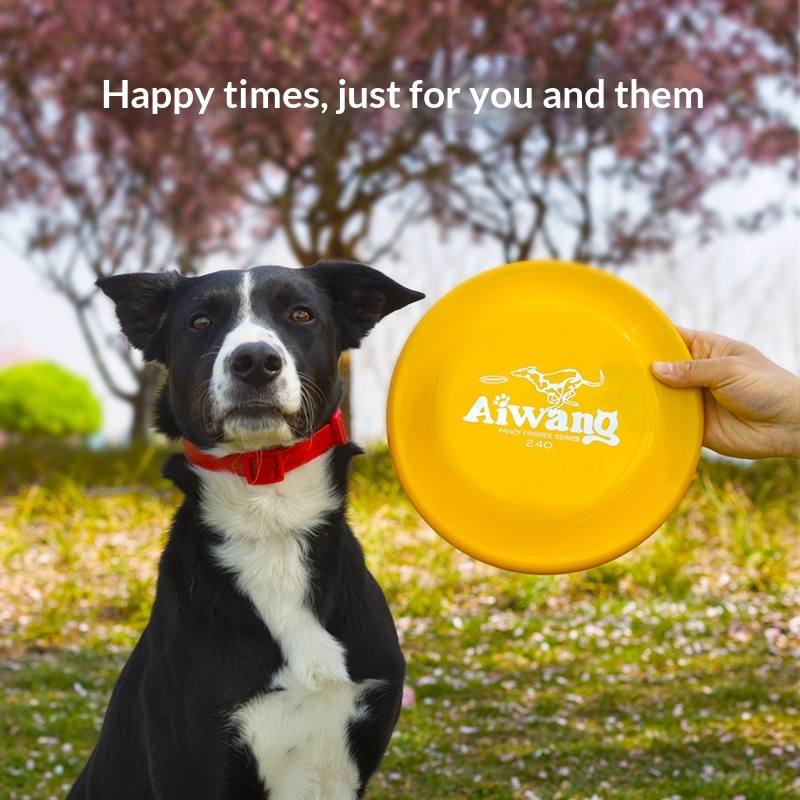 Durable Dog Training Bite Tug Toy