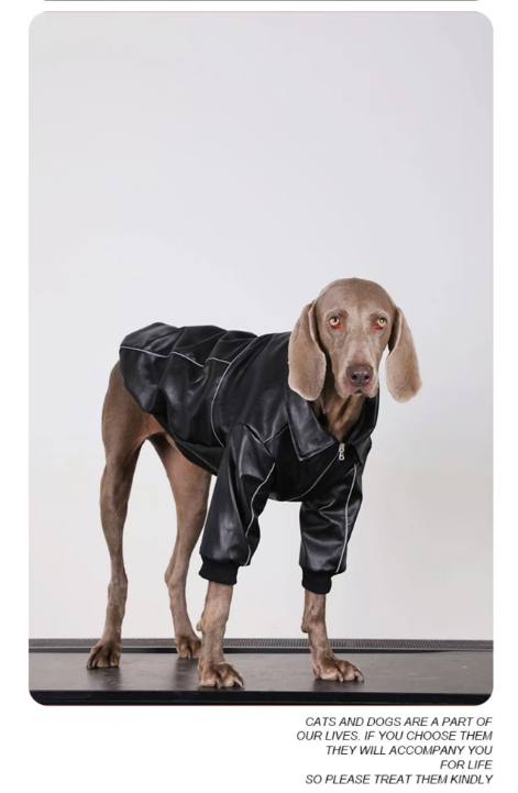 Dog Coat For Medium And Large Breeds
