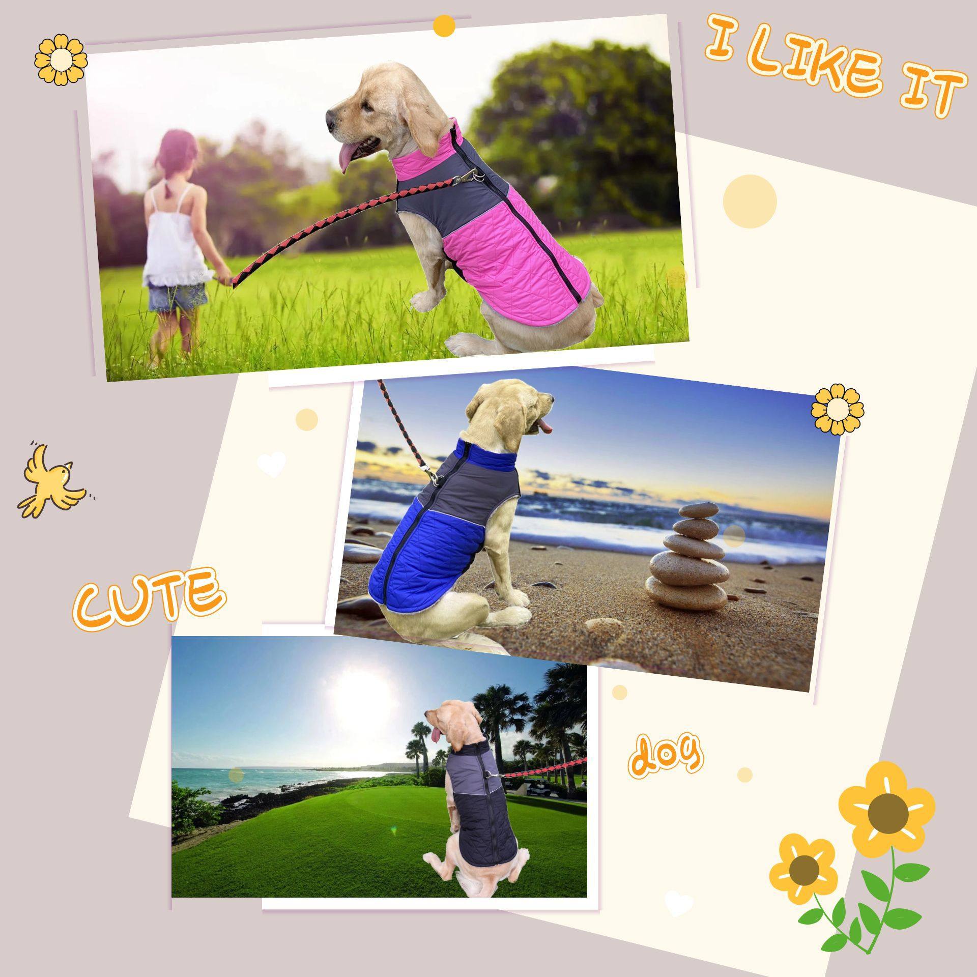 Chest Back Outdoor Dog Coat