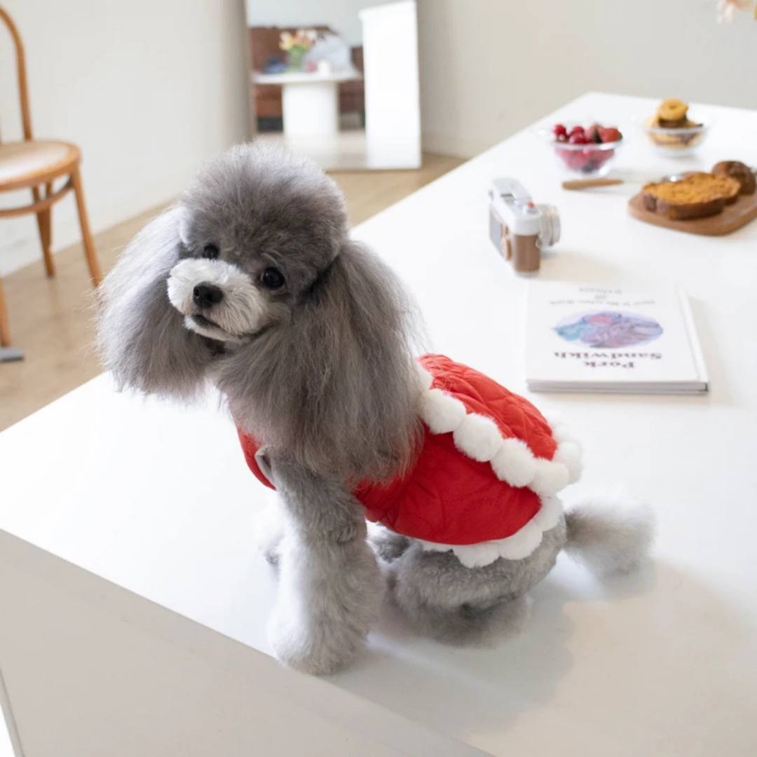 Fur Collar Winter Dog Coat