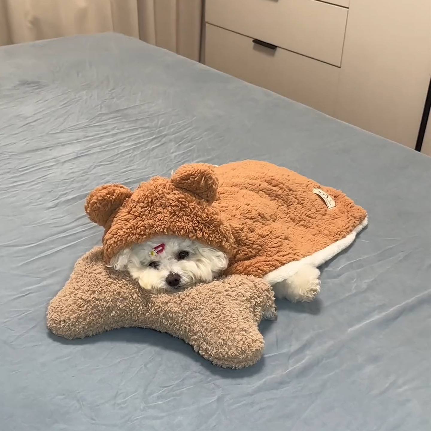 Cosy Blanket Dog Coat