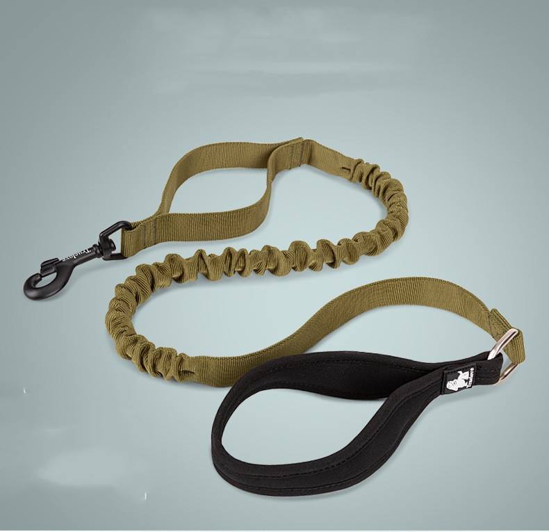 Elastic Bungee Dog Lead