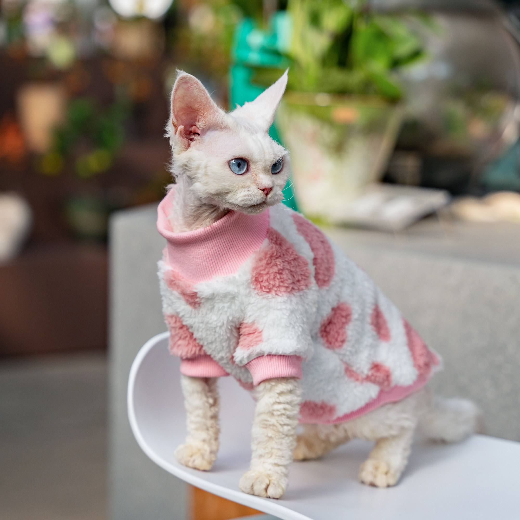 Warm Double-Layer Dog Coat