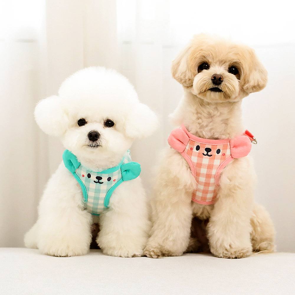 Vest-Style Dog Harness And Lead