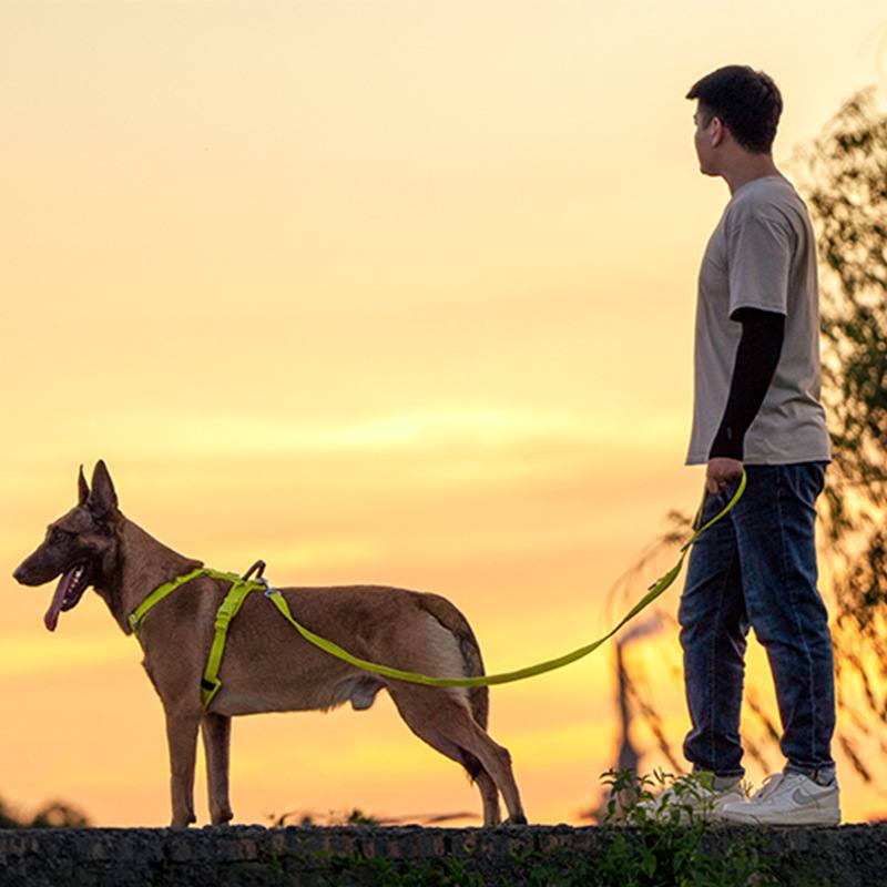 No-Pull Dog Harness For Large Breeds