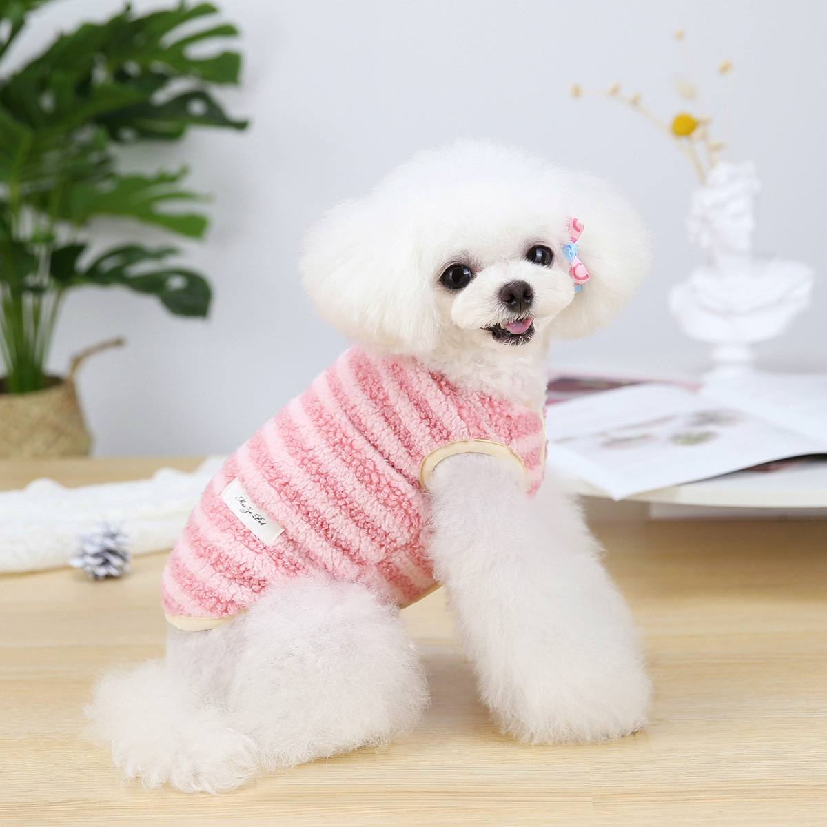 Small Dog Winter Warm Coat