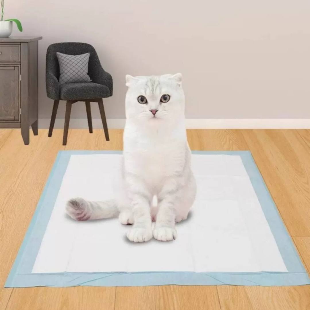 Super-Absorbent Pet Toilet Training Pads