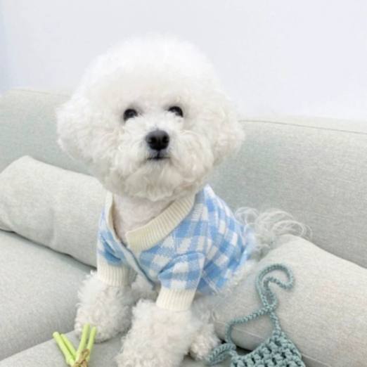 Cosy Home Pet Pyjamas