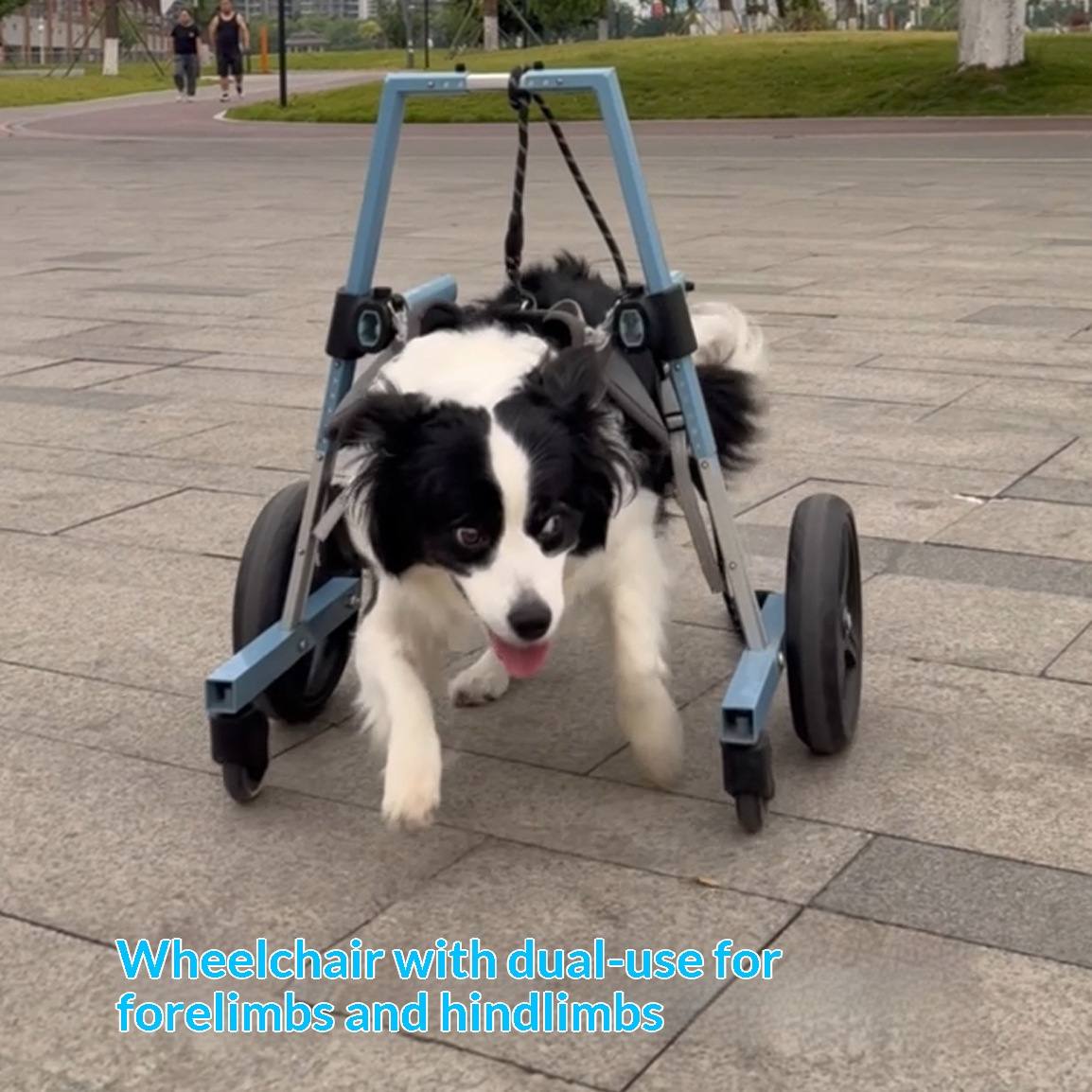 Dog Front-Limb Mobility Wheelchair
