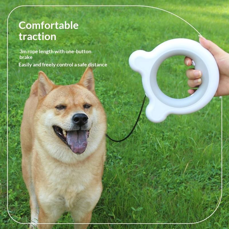 Grey Dog Lead with Clip