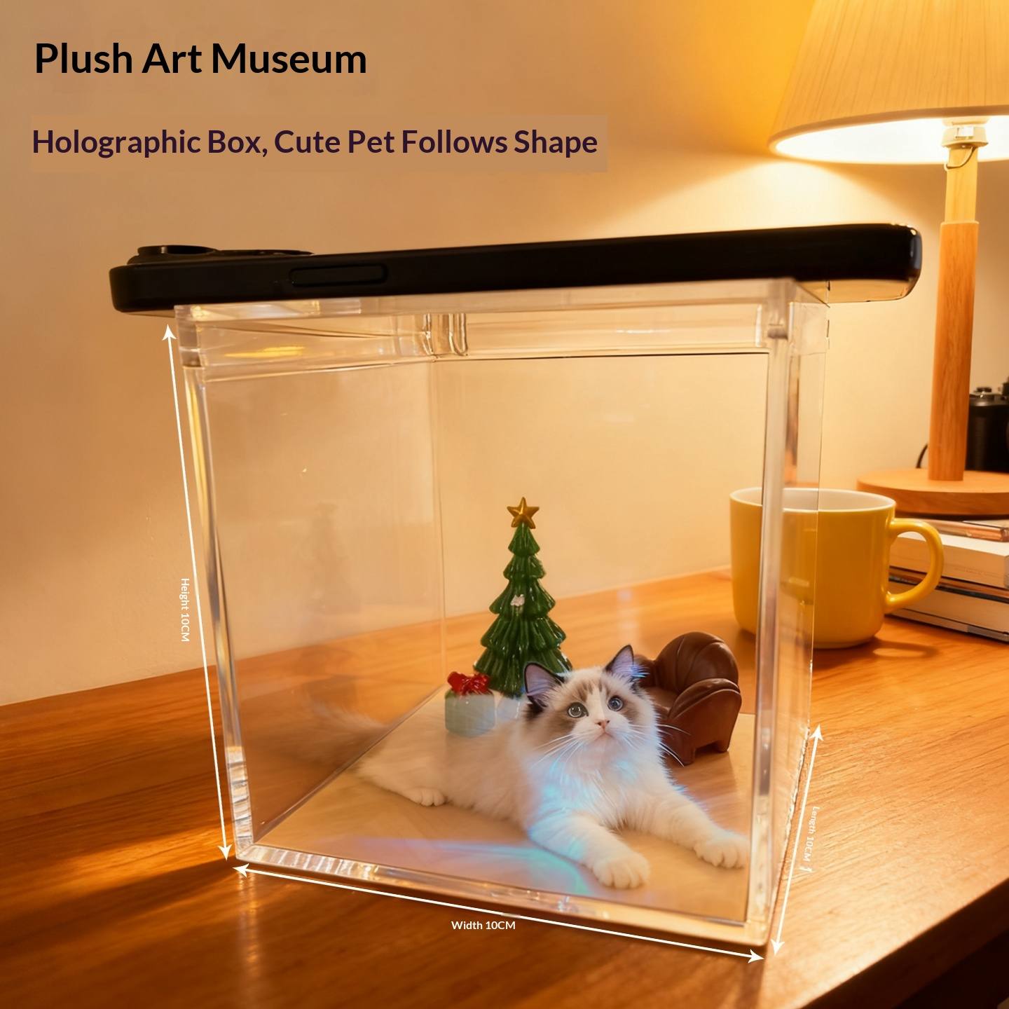 Pet Photo Holographic Memorial Box
