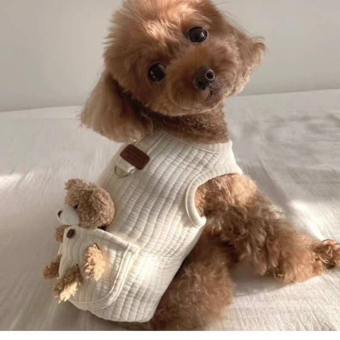 Quilted Dog Coat With Back Lead Ring