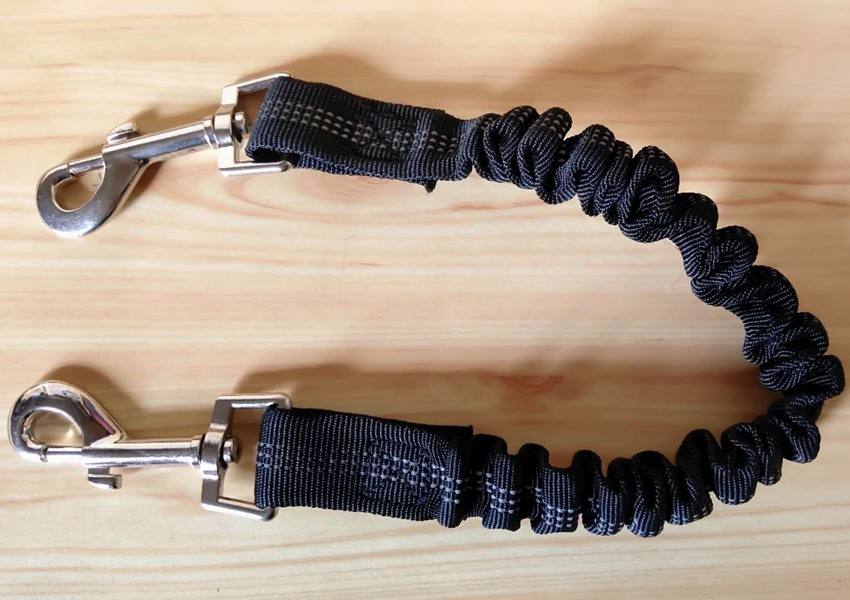 Shock-Absorbing Detachable Dog Lead