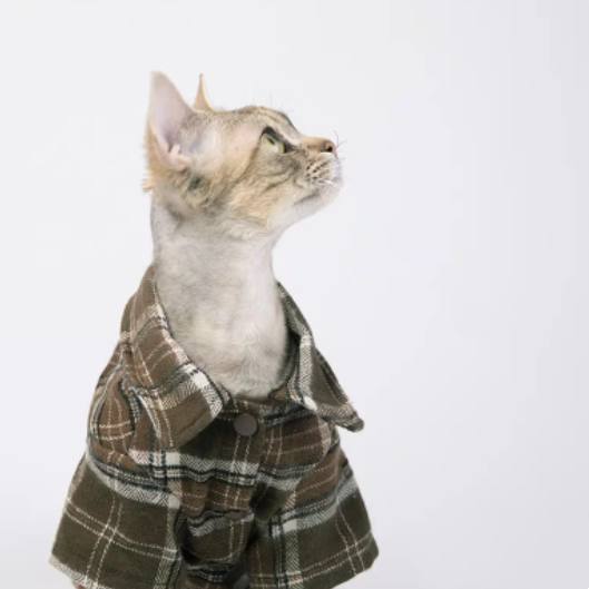 Plaid Flannel Pet Shirt