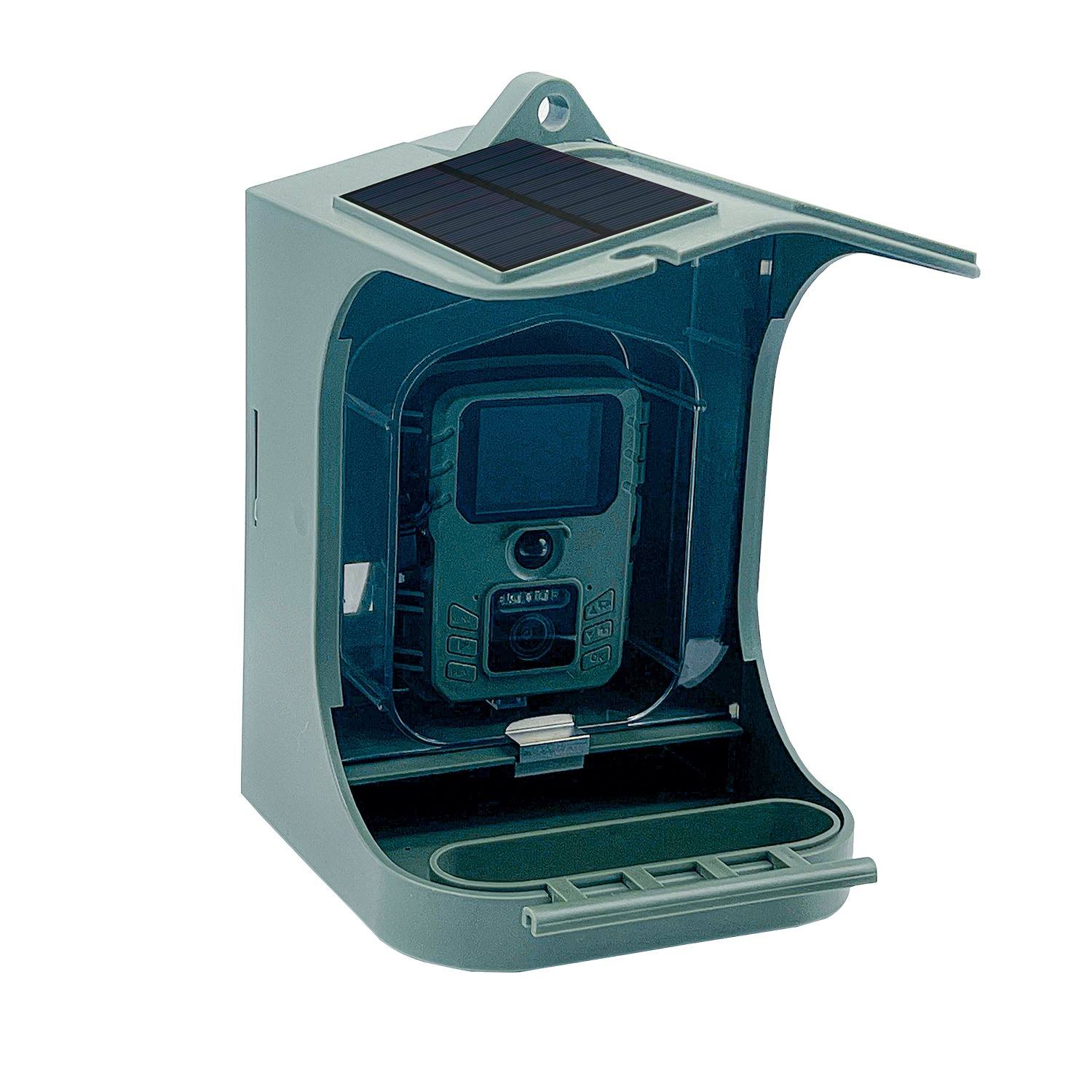 Solar Bird Feeder With Wireless Camera