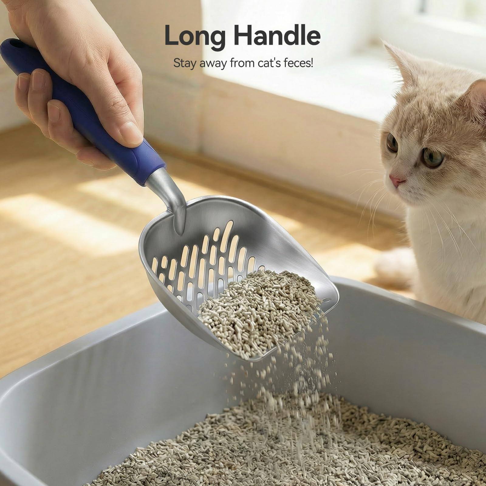 Cleaning & Hygiene
