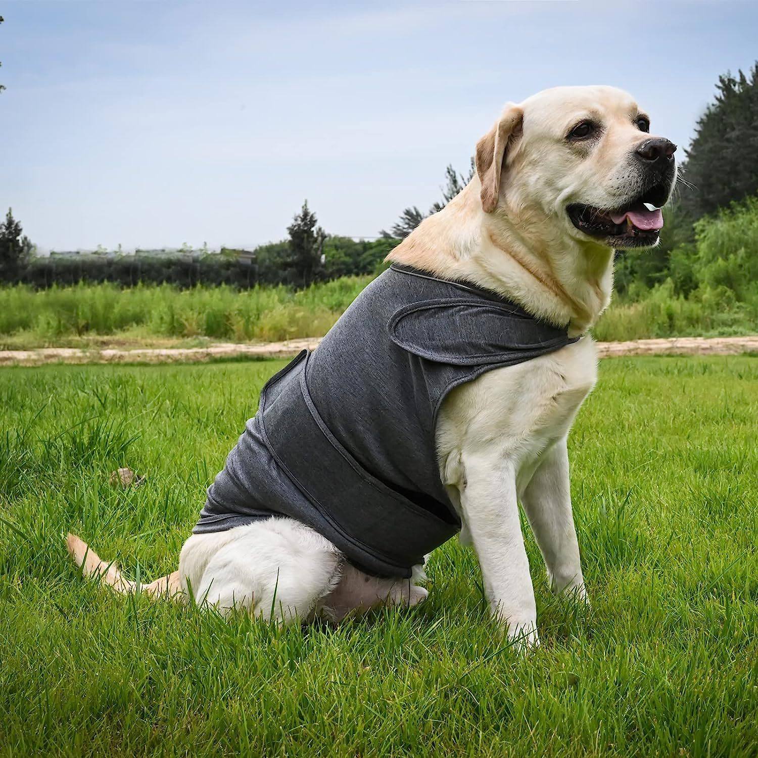 Acrylic Knit Dog Jumper