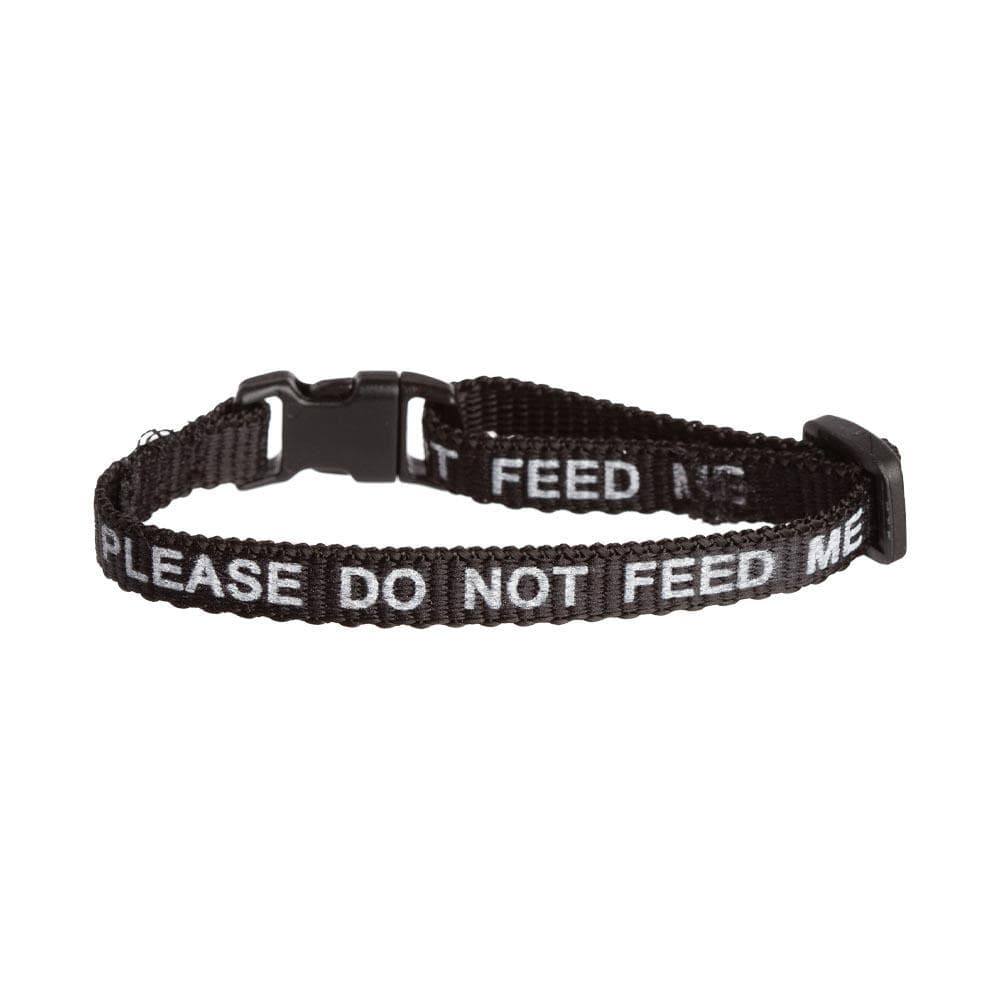 'Please Do Not Feed Me' Cat Collar